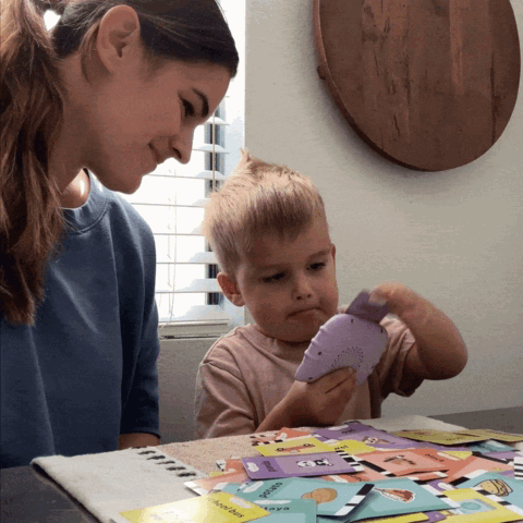 LingoCard İngilizce Konuşan Eğitici Kartlar - 112 Kelime Sesli Dil Eğitim Seti